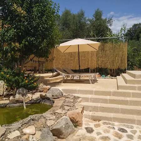 Bed & Breakfast B&bcasamali Selva Di Fasano